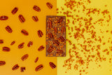 Deluxe Milk Chocolate with Toffee & Pecan NUT Bar