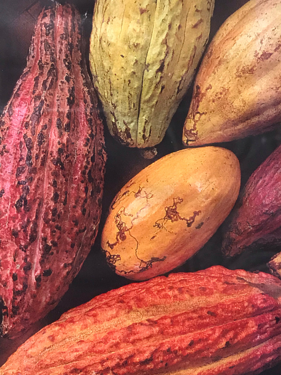 Introduction to Chocolate making Chocolate