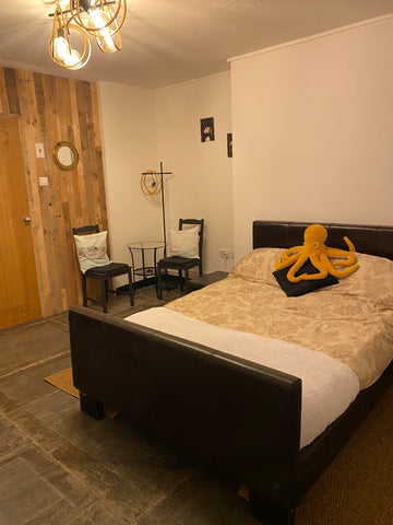 AIR BnB The Basement Ilfracombe Devon